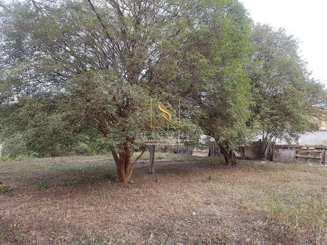Sítio, 5 quartos, 4950 m² - Foto 23