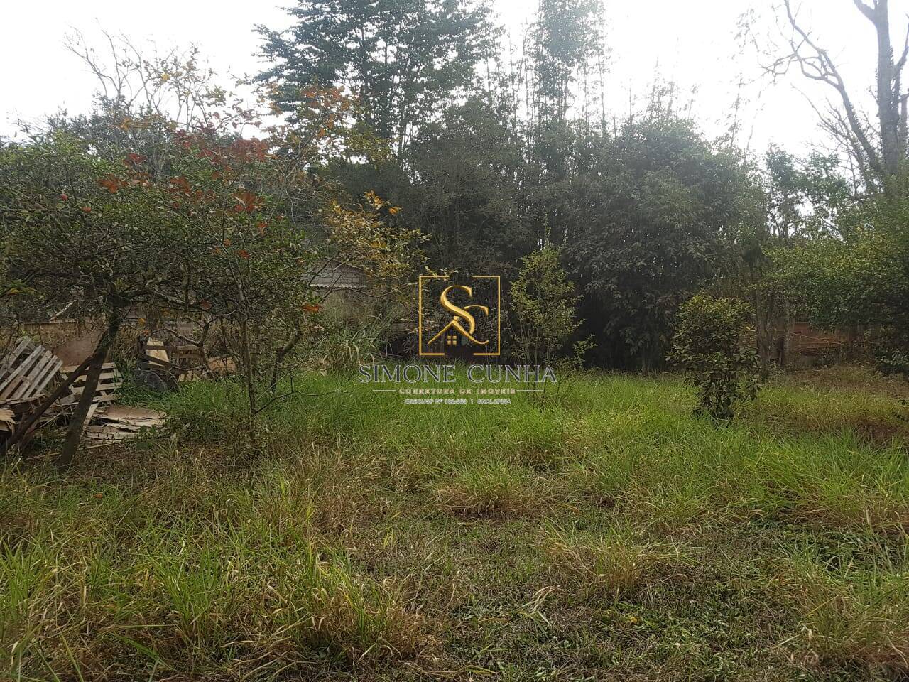 Sítio, 5 quartos, 4950 m² - Foto 24