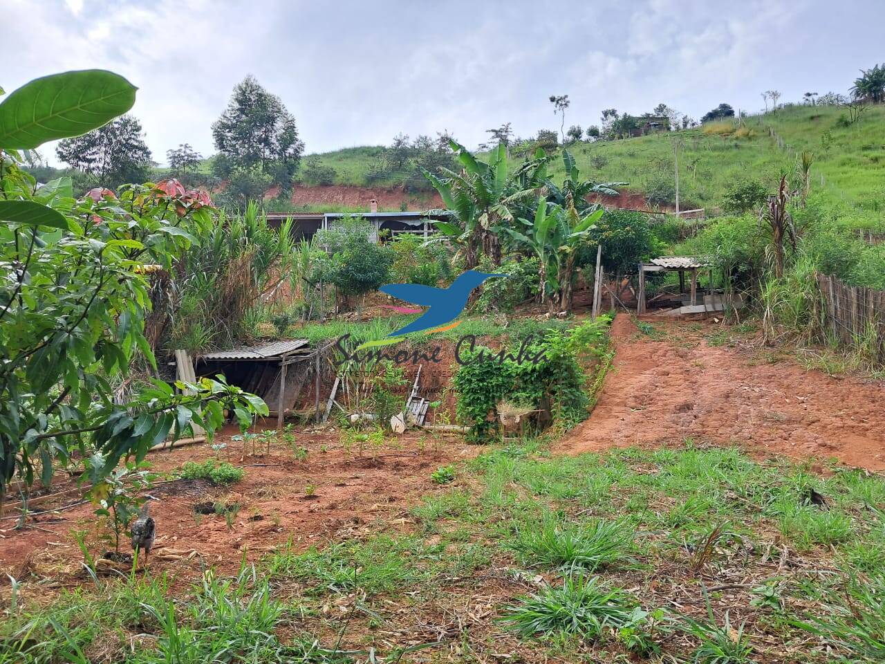 Chácara à venda com 3 quartos, 1889m² - Foto 15
